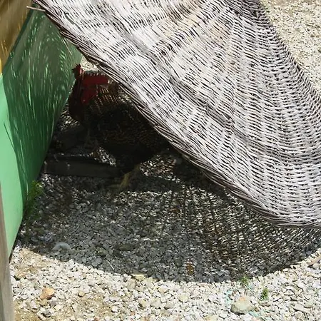 Zumrut Bahce * Gokcedere