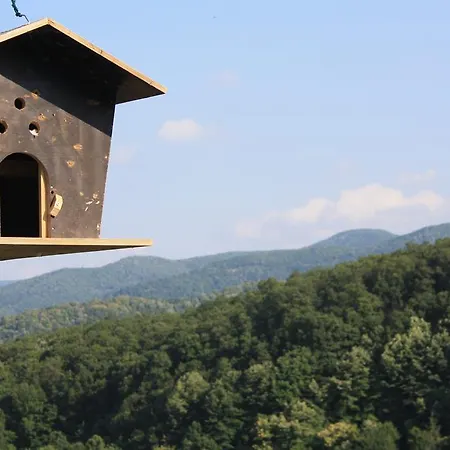 Zumrut Bahce מוטל Gokcedere