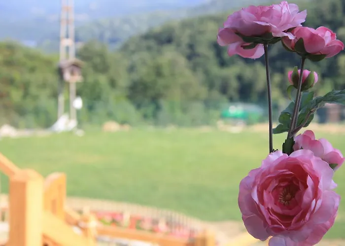 モーテル Zumrut Bahce *